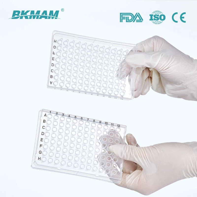 full skirted PCR plate