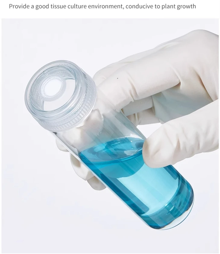 Lab Use 30mm Heat Resistant Clear Glass Tube With Tissue Culture Caps For Plant Packaging