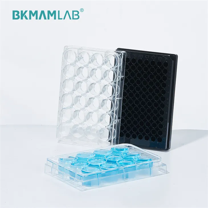 cell cuture well plate