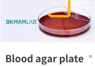 Genel Bakterilerin İzolasyon Kültürü ve Hemoliz Testi İçin Kullanılan Kültür Ortamı Kullanıma Hazır Kan Agar Plakaları (9cm)